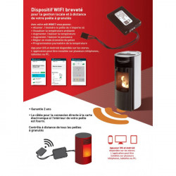 Module Wifi ETNA Type M